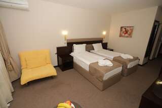 Отель MPM Hotel Bansko SPA & Holidays Банско Стандартный двухместный номер с 1 кроватью или 2 отдельными кроватями (для 2 взрослых и 1 ребенка)-3